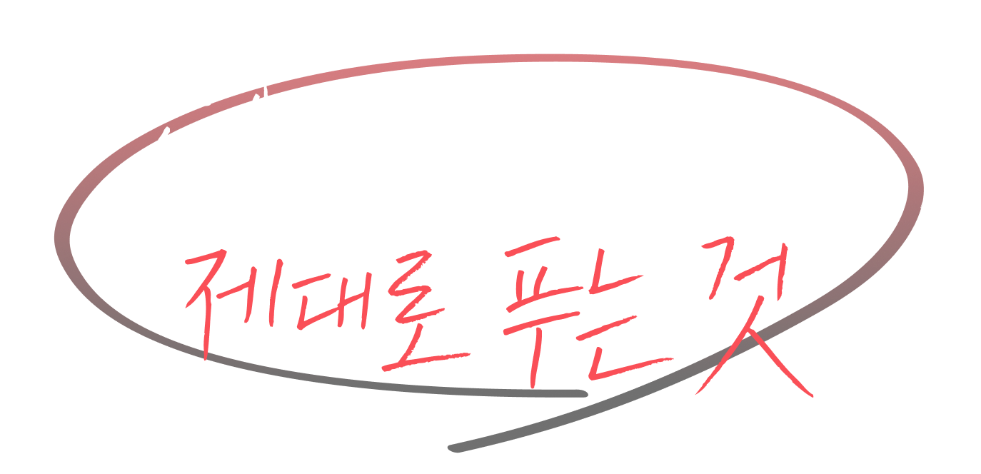 좋은 문제만 골라 제대로 푸는 것